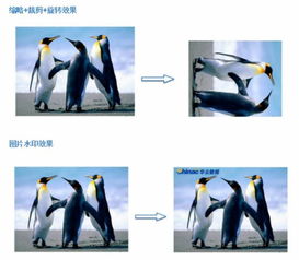 華云數(shù)據(jù)對象存儲(chǔ)服務(wù)COS 富媒體服務(wù)之圖片處理與存儲(chǔ)支持